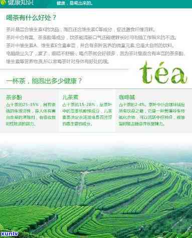 安溪县怡龙茶叶包装 品质传承，装潢创新，心联茶韵